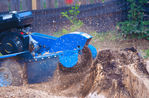 Benefits of Hiring Stump Grinder Services Near Me