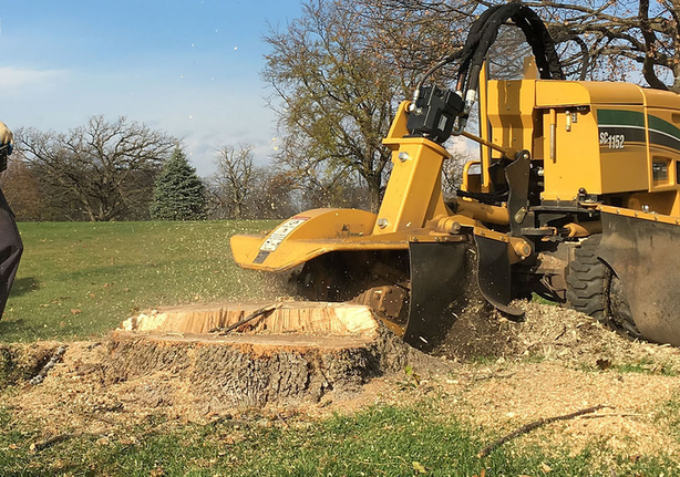 Stump Grinder Near Me: Why Professional Equipment Matters