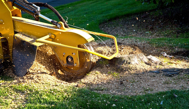 stump grindings removal