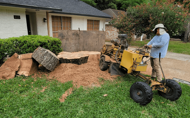 tree stump grinding near me