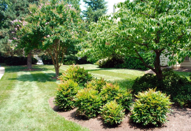 Local tree and shrub care for Lincoln, NE Yards