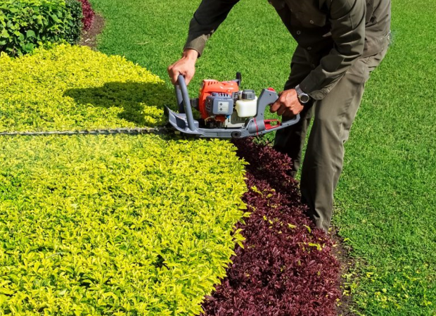 Local Tree and Shrub Care Professionals in Lincoln, NE